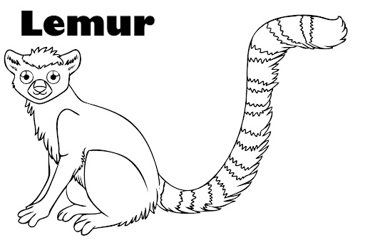 how-to-draw-a-lemur-step-7.jpg