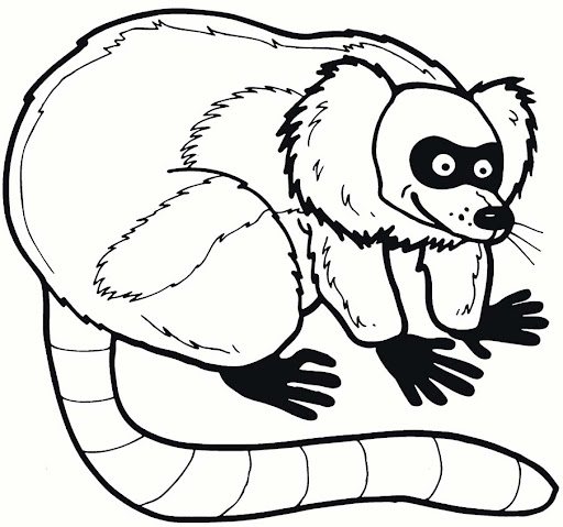 lemur.jpg