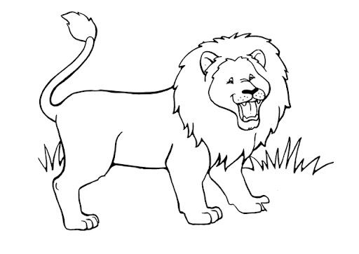 lion3.jpg