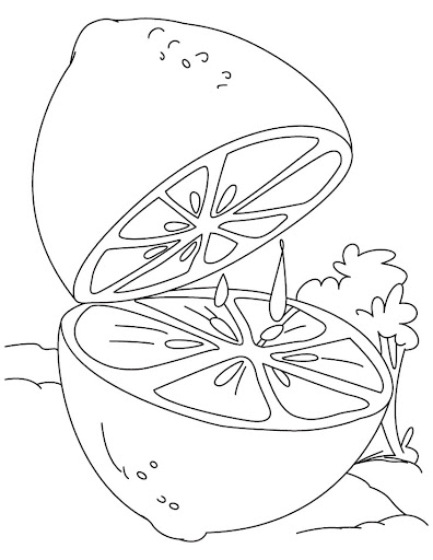 lime-coloring-page-4.jpg