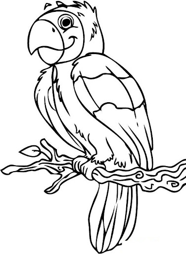 how-to-draw-a-cartoon-parrot-step-6.jpg