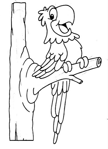 img242.jpg