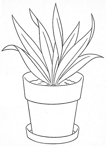Vacation%2520Coloring%2520Book32.jpg