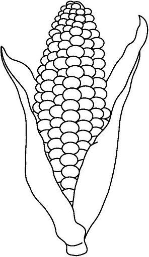 CORN1_BW_thumb.jpg