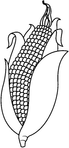 CORN4_BW_thumb.jpg