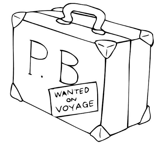 maleta.jpg