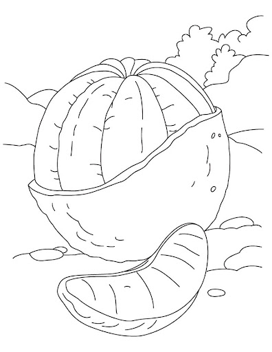 orange-coloring-page-3.jpg