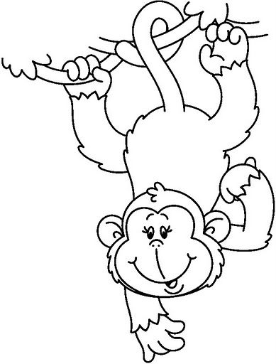 MONKEY_BW%255B1%255D.jpg