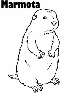 marmotta.jpg