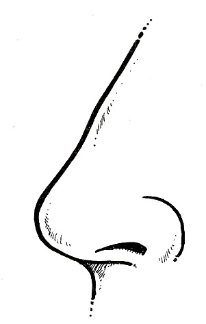nariz-1.jpg