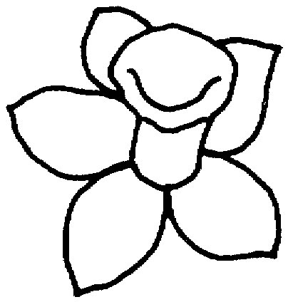 narcissus-7-coloring-page.jpg