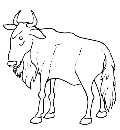 gnu-1.jpg
