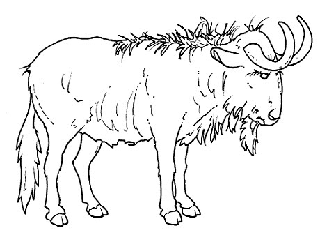 gnu.jpg