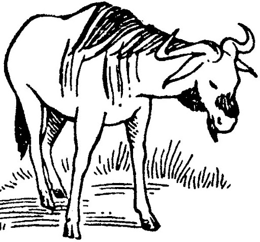 gnu%25202.jpg
