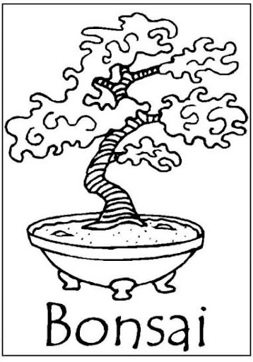 bonsai-1.jpg