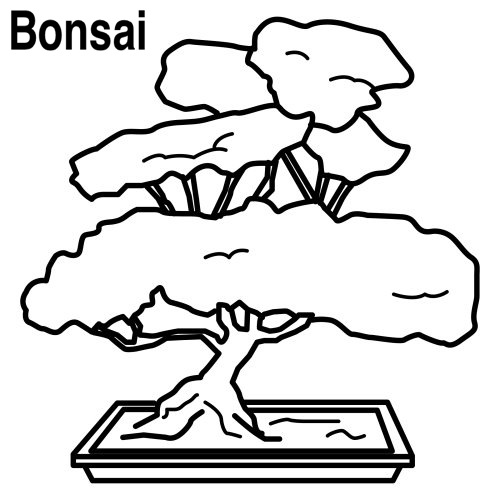 bonsai.jpg
