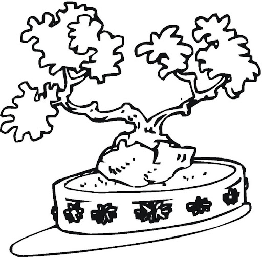 trees12.jpg