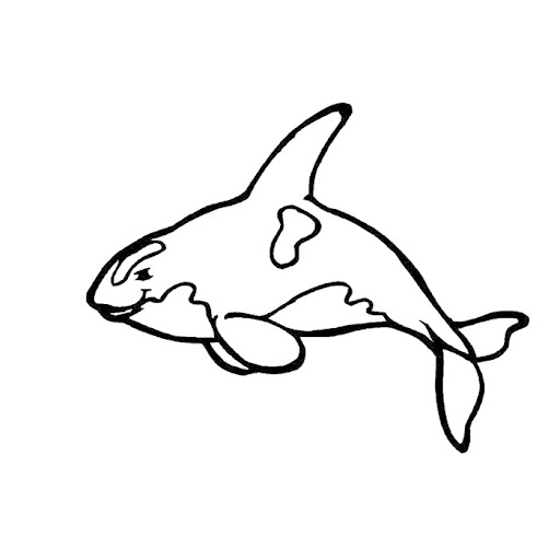 dibujos-orcas.jpg
