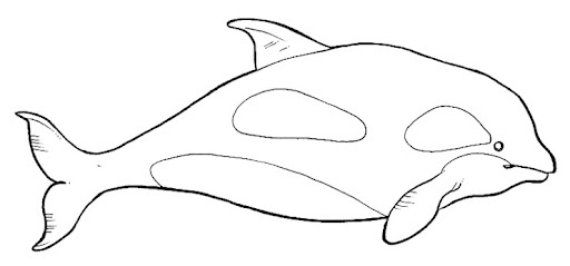 orca.jpg