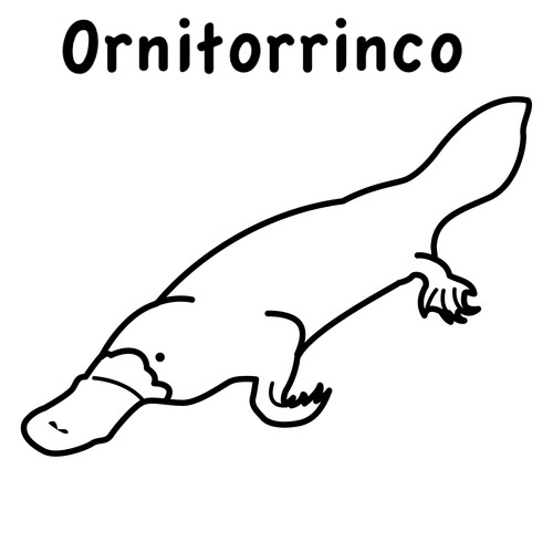 ornitorrinco.jpg
