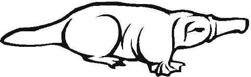 platypus1.jpg