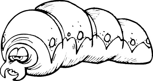 6_Wurm.jpg