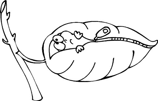 Wurm_drin.jpg