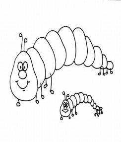 free-coloring-pages-caterpillar-11_MED.jpg