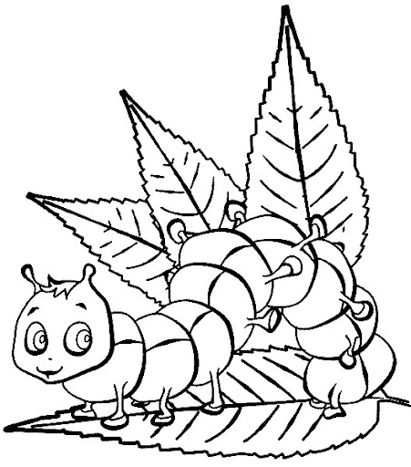 Wurm_und_Raupe_0.jpg