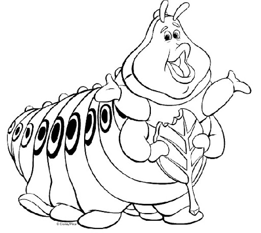 oruga.jpg
