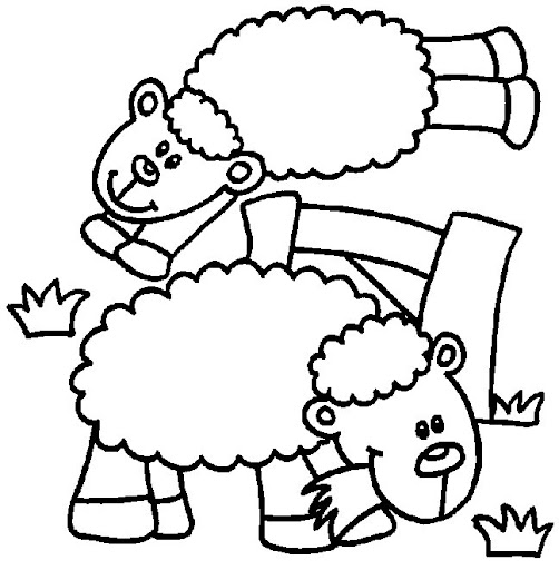 schaap16.jpg