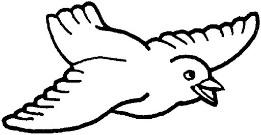 55.jpg