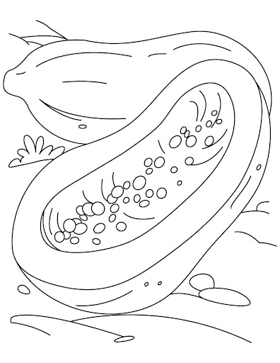 papaya-coloring-page-3.jpg