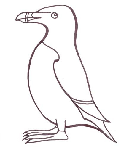 pingouin.jpg