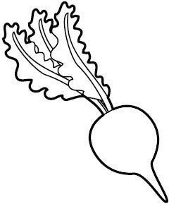 20081857_CD_Nabo.jpg