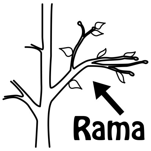 Rama.jpg