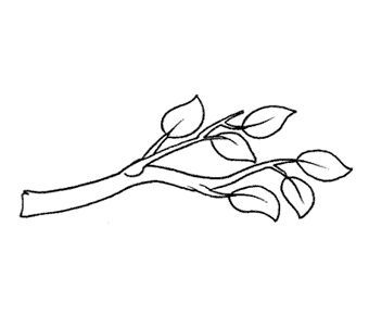 rama%2520arbol.gif.jpg