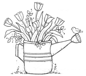 7j57.jpg