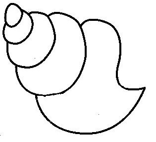 coloriage_mer_24.JPG.jpg