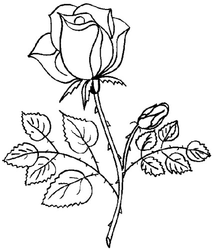 1283209026367_f.jpg