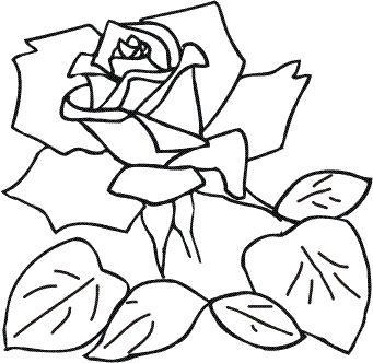 fleurs-champignon-11.gif.jpg