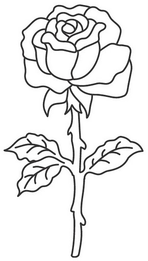 rosa%25203.jpg