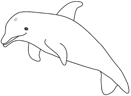 110.jpg