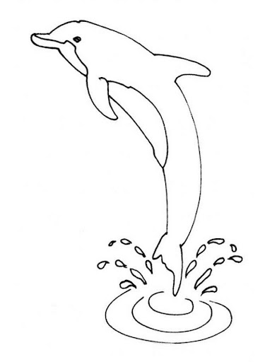 delfin-source_xtx.jpg