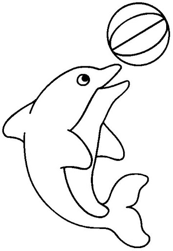 delfin.jpg