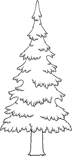 TREE_EVERGREEN_BW.jpg