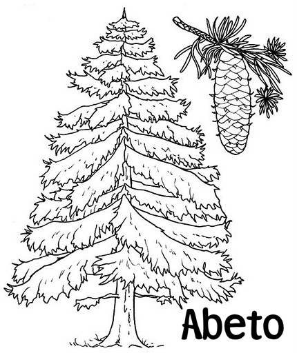 abete.gif.jpg