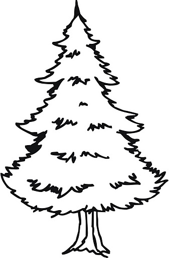 dji_green_pinetree_b.jpg