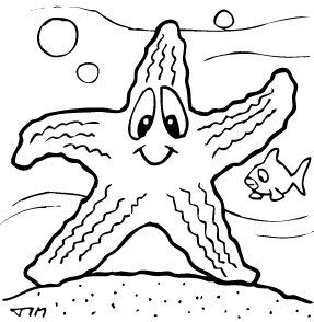 Starfish.jpg