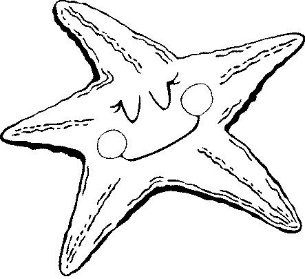 coloriage_mer_337.JPG.jpg